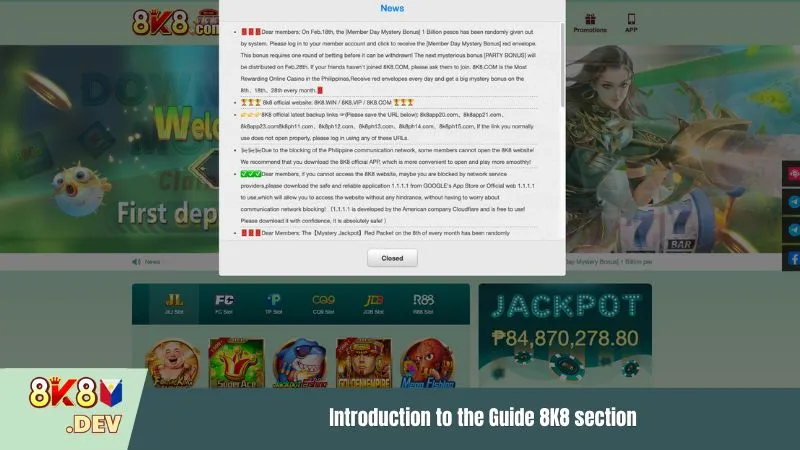 Introduction to the Guide 8K8 section