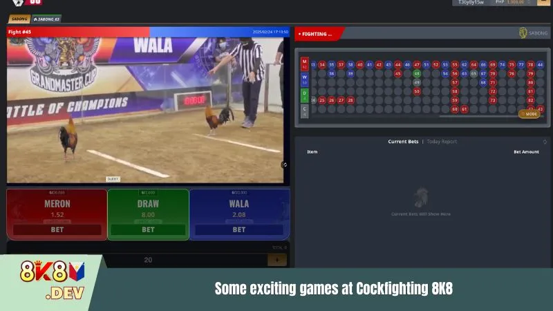 Some exciting games at Cockfighting 8K8