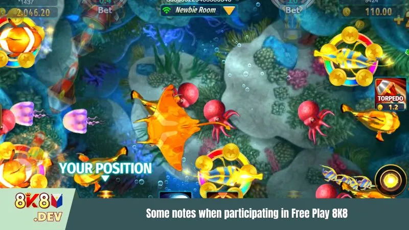 Some notes when participating in Free Play 8K8