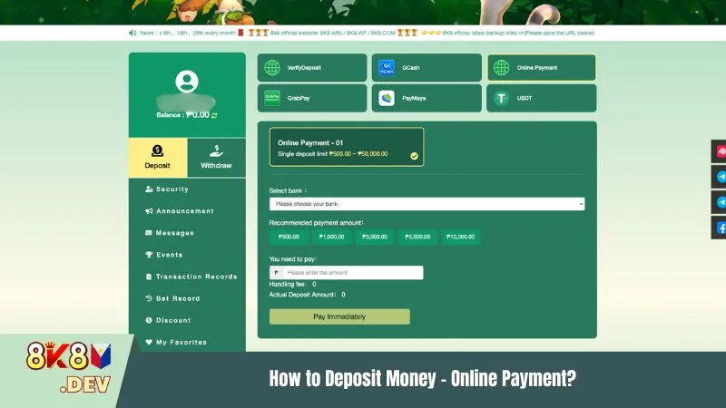 How to Deposit Money – Online Payment?
