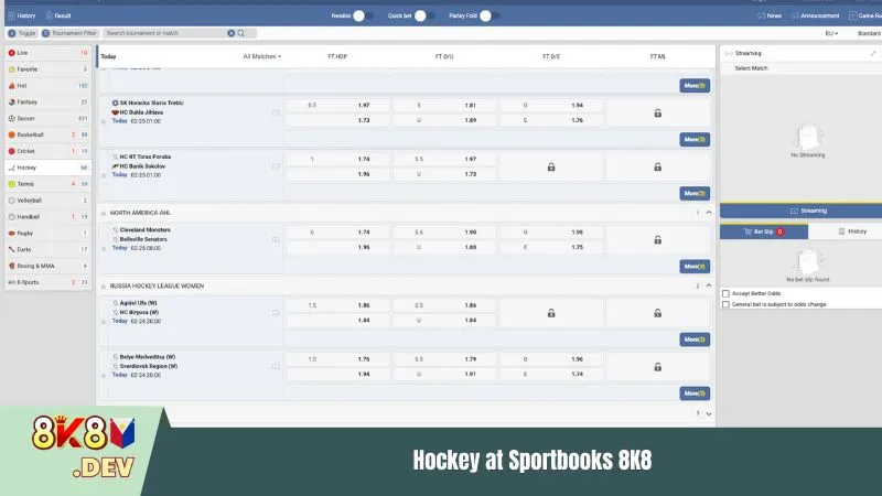 Hockey at Sportbooks 8K8