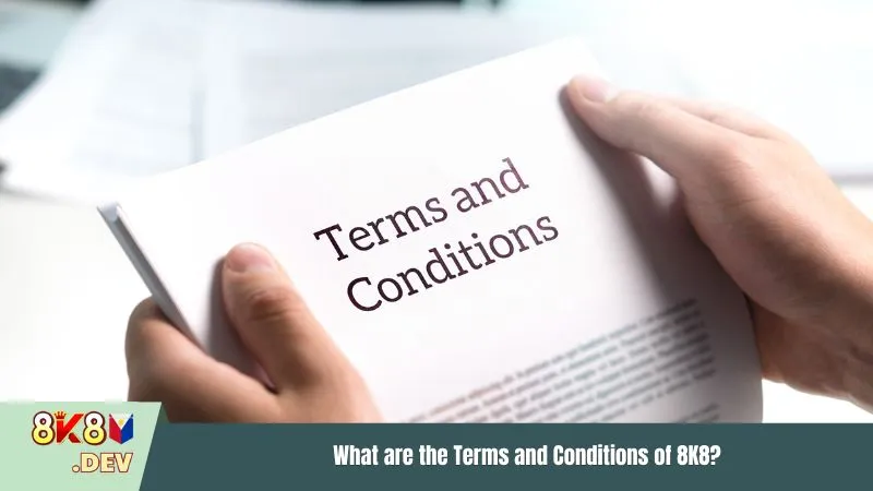 What are the Terms and Conditions of 8K8?