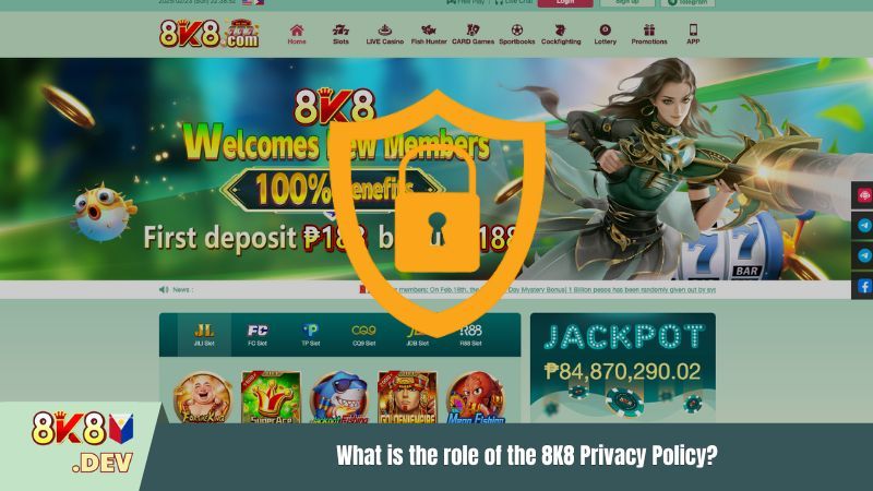 What is the role of the Privacy Policy 8K8?
